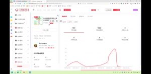 2025小红书虚拟电商实战课-薪火元第一资源库