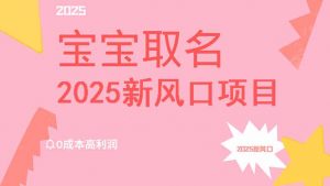 2025新风口项目宝宝取名，0成本高利润，附保姆级教程，月入过万不是梦-薪火元第一资源库