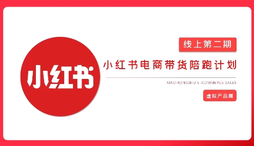 2025小红书虚拟电商实战课，从0到1打造无货源店铺，AI+爆款笔记轻松变现-梦凌网创
