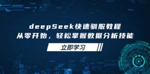 deepSeek快速驯服教程，从零开始，轻松掌握数据分析技能-薪火元第一资源库