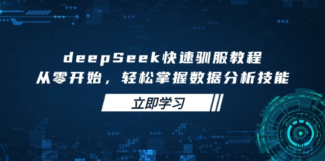 deepSeek快速驯服教程，从零开始，轻松掌握数据分析技能-梦凌网创