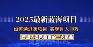 2025蓝海项目，普通人如何通过卖项目，实现月入过W，全过程【揭秘】-薪火元第一资源库