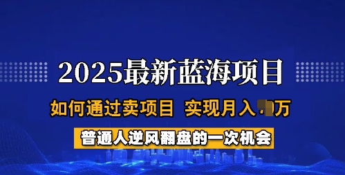 2025蓝海项目，普通人如何通过卖项目，实现月入过W，全过程【揭秘】-梦凌网创