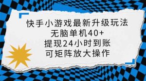 快手小游戏最新版升级玩法，新风口，无脑单机日入40+，可批量放大，小...-薪火元第一资源库