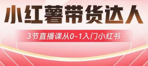 小红薯达人带货启航计划，3节直播课从0-1入门小红书-梦凌网创