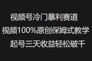 视频号冷门暴利赛道视频100%原创保姆式教学起号三天收益轻松破千-薪火元第一资源库