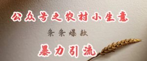 deepseek写农村小项目,条条爆款,暴力引流-薪火元第一资源库