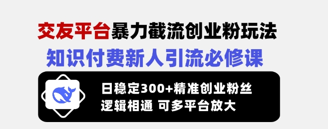 交友平台暴力截流创业粉玩法，知识付费新人引流必修课，日稳定300+精准创业粉丝，逻辑相通可多平台放大-梦凌网创