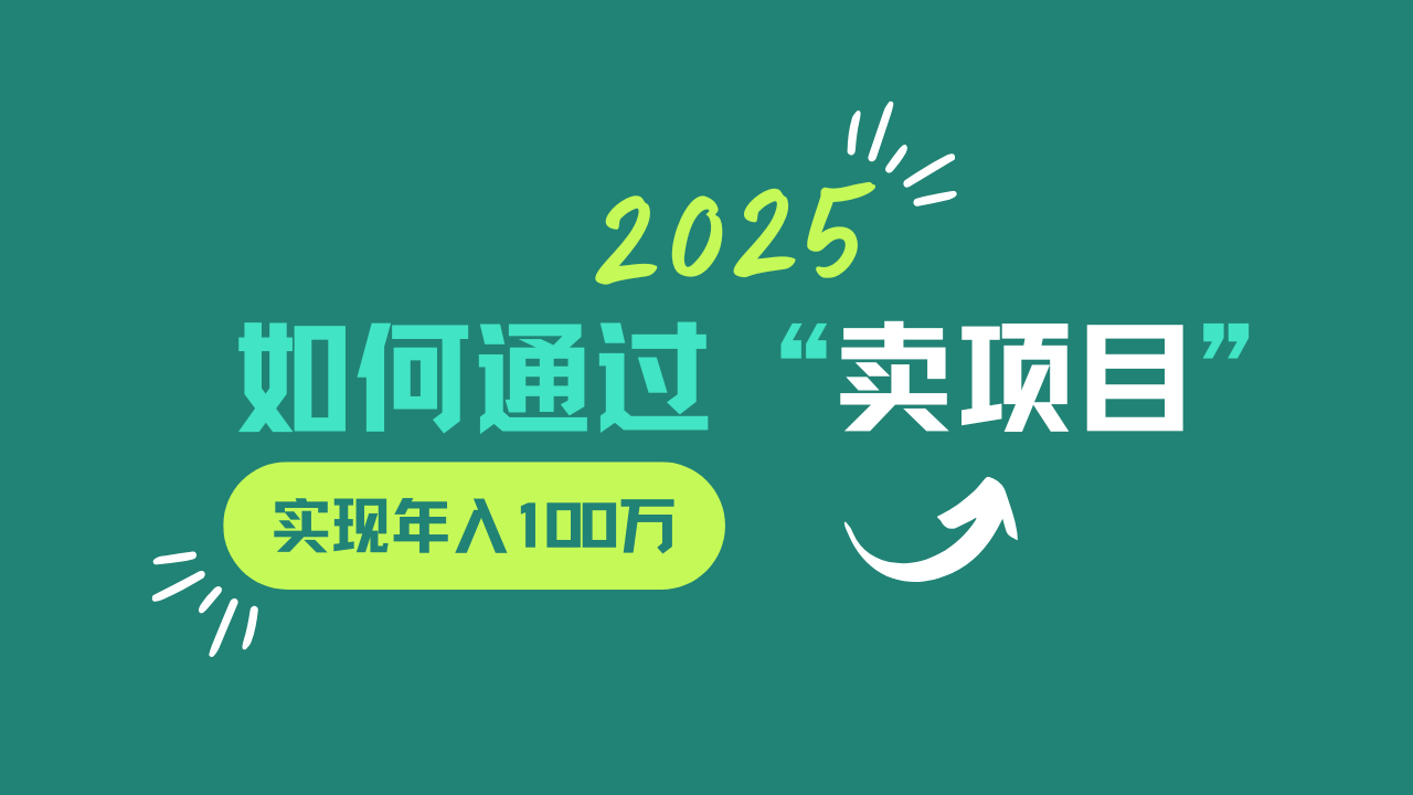 2025年如何通过“卖项目”实现年入100w-梦凌网创