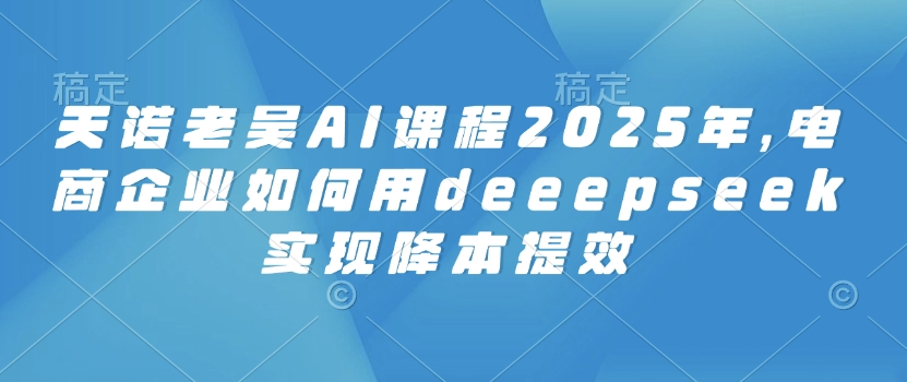 天诺老吴AI课程2025年，电商企业如何用deeepseek实现降本提效-梦凌网创