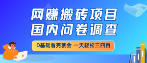 网赚搬砖项目,国内问卷调查,0基础看完就会 一天轻松三四百,靠谱副业...-薪火元第一资源库