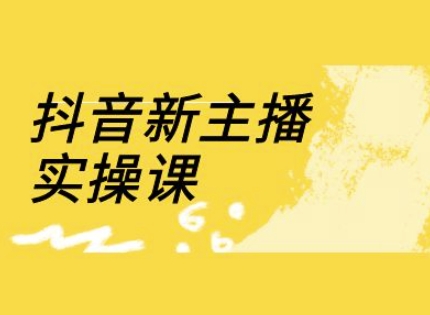 抖音新主播实操课，直播间流量运营线上实操课(18节)-梦凌网创