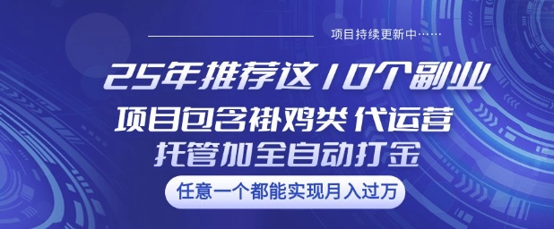 25年推荐这10个副业项目包含褂鸡类、代运营托管类、全自动打金类【揭秘】-梦凌网创