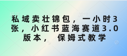 私域卖壮锦包，一小时3张，小红书蓝海赛道3.0版本， 保姆式教学-梦凌网创