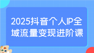 2025抖音个人IP全域流量变现进阶课：选爆品、抖音付费投流、千川投流实操及优化等-薪火元第一资源库