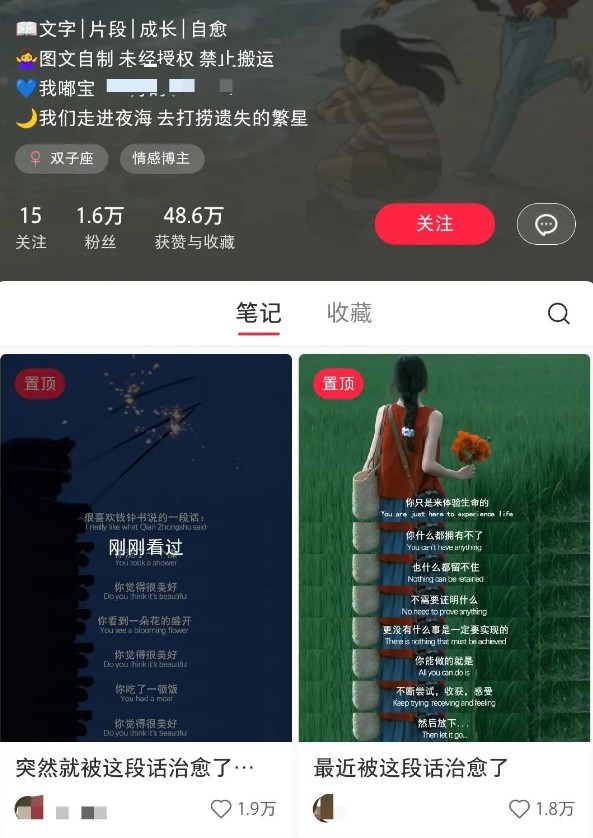 小红书治愈文案图文笔记，零门槛，一分钟制作轻松制作爆款作品月入万元-梦凌网创