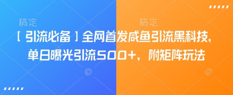 【引流必备】全网首发咸鱼引流黑科技，单日曝光引流500+，附矩阵玩法【揭秘】-梦凌网创