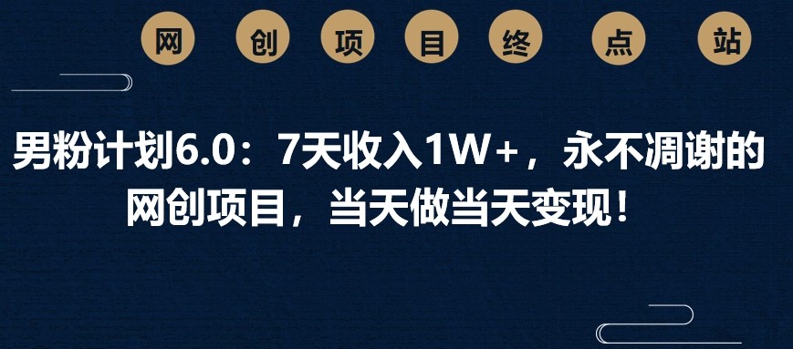 男粉计划6.0：7天收入1W+，永不凋谢的网创项目，当天做当天变现！-梦凌网创