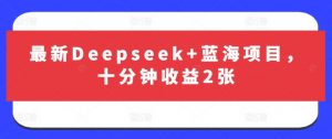 最新Deepseek+蓝海项目，十分钟收益2张-薪火元第一资源库