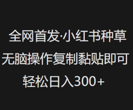 全网首发，小红书种草无脑操作，复制黏贴即可，轻松日入3张-梦凌网创