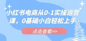 小红书电商从0-1实操运营课,0基础小白轻松上手-薪火元第一资源库