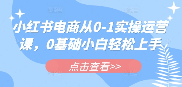 小红书电商从0-1实操运营课，0基础小白轻松上手-梦凌网创