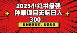 2025小红书最强种草项目，无脑日入300+，复制粘帖即可，多劳多得-薪火元第一资源库