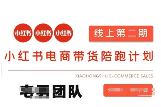 小红书电商带货课2期，月利润20个的小红书电商的有货源，无货源，虚拟产品，付费投流等整套玩法-梦凌网创