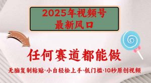 2025年视频号新风口，低门槛只需要无脑执行-薪火元第一资源库