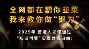 全网都在割你韭菜，我来教你做镰刀,2025普通人如何通过知识付费，实现财F自由【揭秘】-薪火元第一资源库