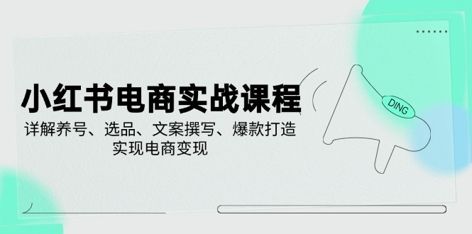 小红书电商实战课程，详解养号、选品、文案撰写、爆款打造，实现电商变现-梦凌网创