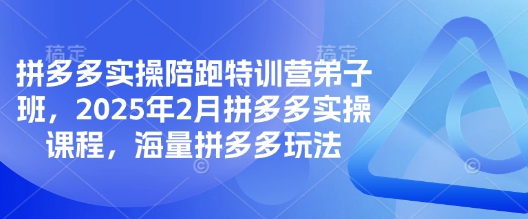 拼多多实操陪跑特训营弟子班，2025年2月拼多多实操课程，海量拼多多玩法-梦凌网创
