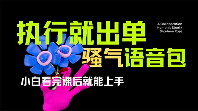爆火全网的开车导航骚气语音包,只要执行就出单，小白看完课程就能实操…-梦凌网创