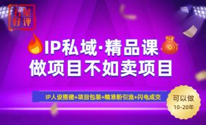 2025年“IP私域·密训精品课”,日赚3000+小白避坑年赚百万,暴力引流...-薪火元第一资源库
