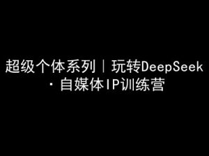超级个体系列，玩转DeepSeek·自媒体IP训练营，deepseek教程-薪火元第一资源库