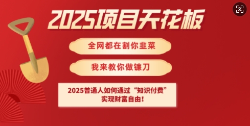2025项目天花板普通人如何通过知识付费，实现财F自由【揭秘】-梦凌网创