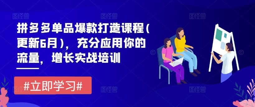 拼多多单品爆款打造课程(更新6月)，充分应用你的流量，增长实战培训-梦凌网创