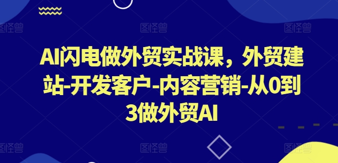 AI闪电做外贸实战课，​外贸建站-开发客户-内容营销-从0到3做外贸AI(更新)-梦凌网创