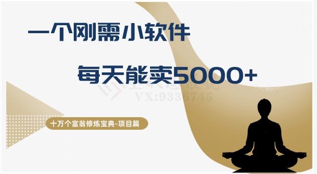 十万个富翁修炼宝典之17.一个刚需小软件，每天能卖5000+-梦凌网创