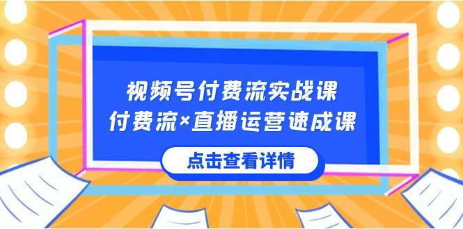 视频号付费流实战课，付费流×直播运营速成课，让你快速掌握视频号核心运营技能-梦凌网创