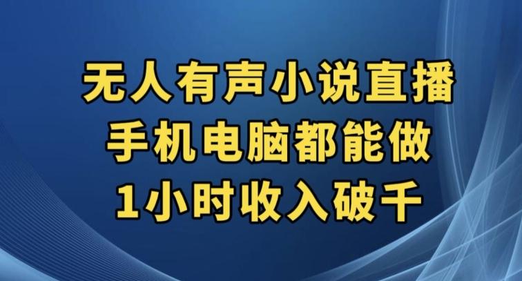抖音无人有声小说直播，手机电脑都能做，1小时收入破千【揭秘】-梦凌网创