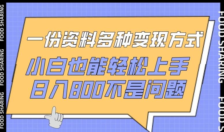 一份资料多种变现方式，小白也能轻松上手，日入800不是问题【揭秘】-梦凌网创