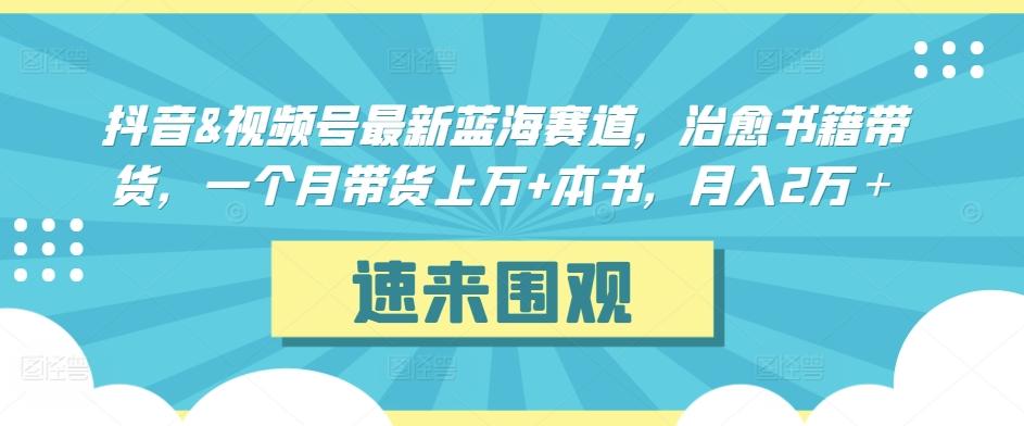 抖音&视频号最新蓝海赛道，治愈书籍带货，一个月带货上万+本书，月入2万＋【揭秘】-梦凌网创