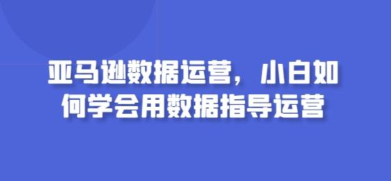 亚马逊数据运营，小白如何学会用数据指导运营-梦凌网创