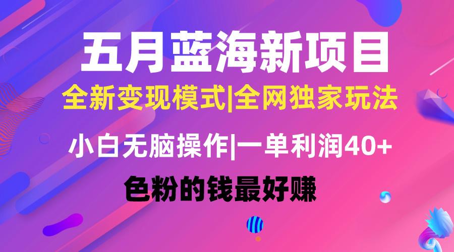 五月蓝海项目全新玩法，小白无脑操作，一天几分钟，矩阵操作，月入4万+-梦凌网创