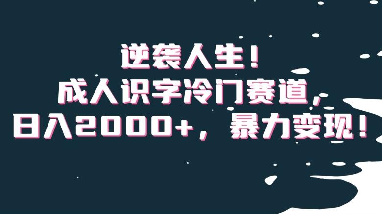 逆袭人生！成人识字冷门赛道，日入2000+，暴力变现！【揭秘】-梦凌网创