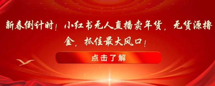 新春倒计时！小红书无人直播卖年货，无货源撸金，抓住最大风口【揭秘】-梦凌网创