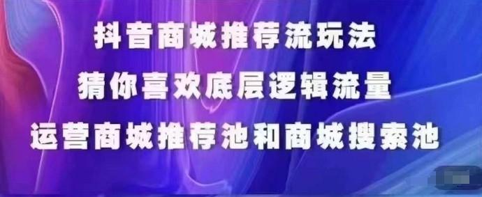 抖音商城运营课程，猜你喜欢入池商城搜索商城推荐人群标签覆盖-梦凌网创