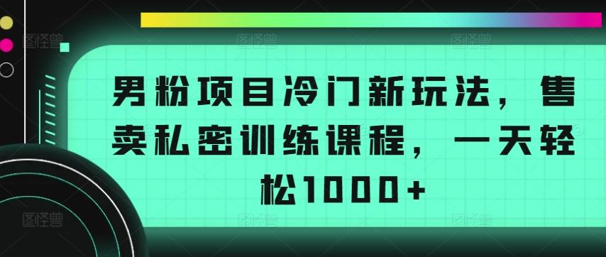 男粉项目冷门新玩法，售卖私密训练课程，一天轻松1000+【揭秘】-薪火元第一资源库