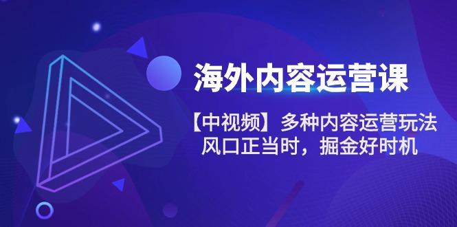 海外内容 运营课【中视频】多种内容运营玩法 风口正当时 掘金好时机-101节-梦凌网创